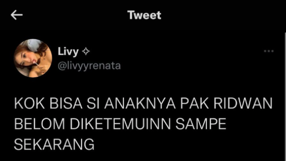Cuitan Livy Renata Soal Pencarian Anak Ridwan Kamil (Twitter)